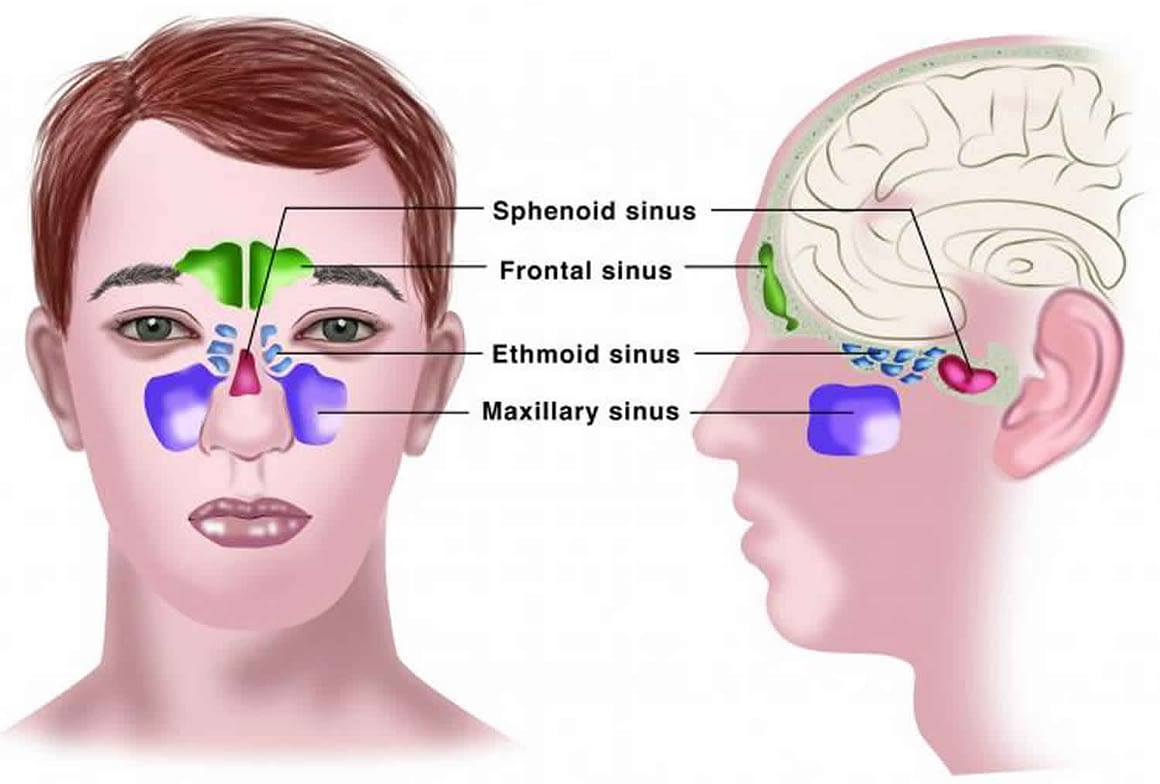 catarrh-sinus-congestion-essential-oils-center